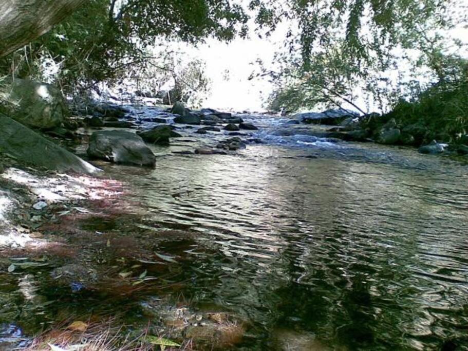 Coqueto Estudio Junto A Sierra Nevada غويخار سييرا المظهر الخارجي الصورة